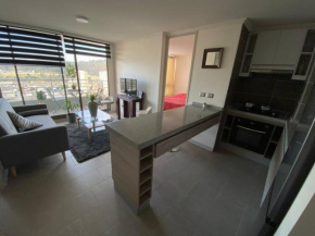 Hermoso Departamento con excelente vista, a pasos de la Quinta Vergara, cercano a Reloj de Flores y Playa Caleta Abarca